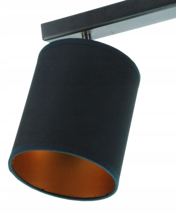 a75375fd27f12ab038c5a5e5591b0eca