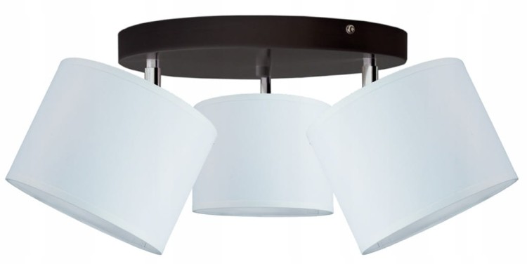 e45441ceb20d026a46f056fa14f03e7d