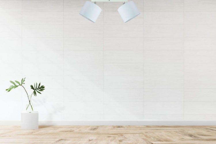 877b361970f074170009758453245df9