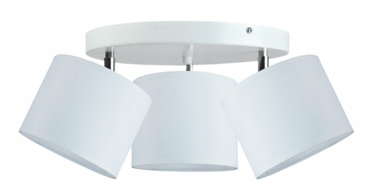 556525b5a5ff1a4cb653668e241332a1